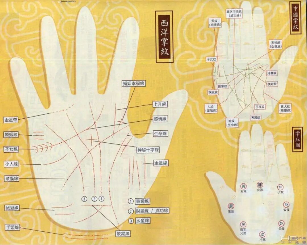 你的掌纹在变化吗？手相纹路改变的同时，说明你的运势开始好转！