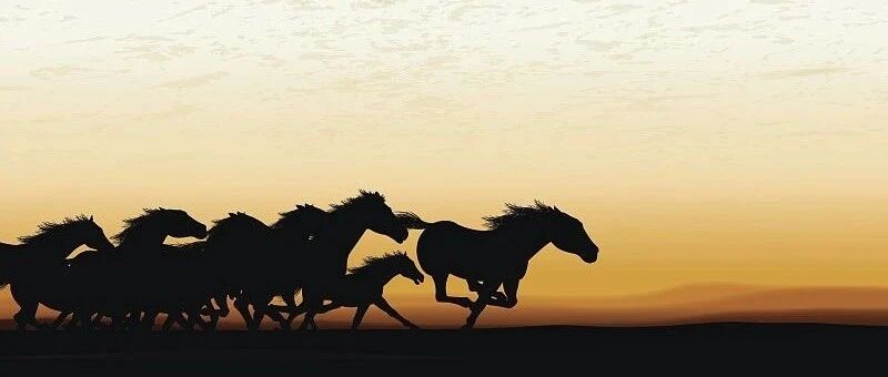 最佳生日贺礼！达晨68亿新基金完成首轮关闭，21年打造本土人民币基金发展样本