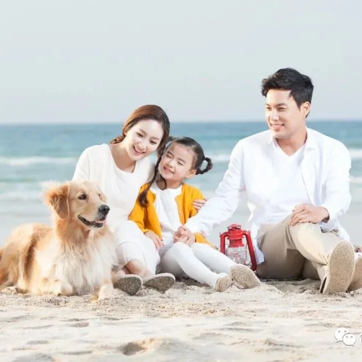 国庆催热宠物寄养，有宠物店“一房难求”，资本大举涌入宠物市场