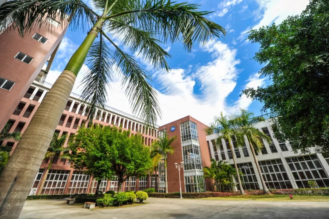 2019华南农业大学珠江学院广东艺术类校考录取可查询