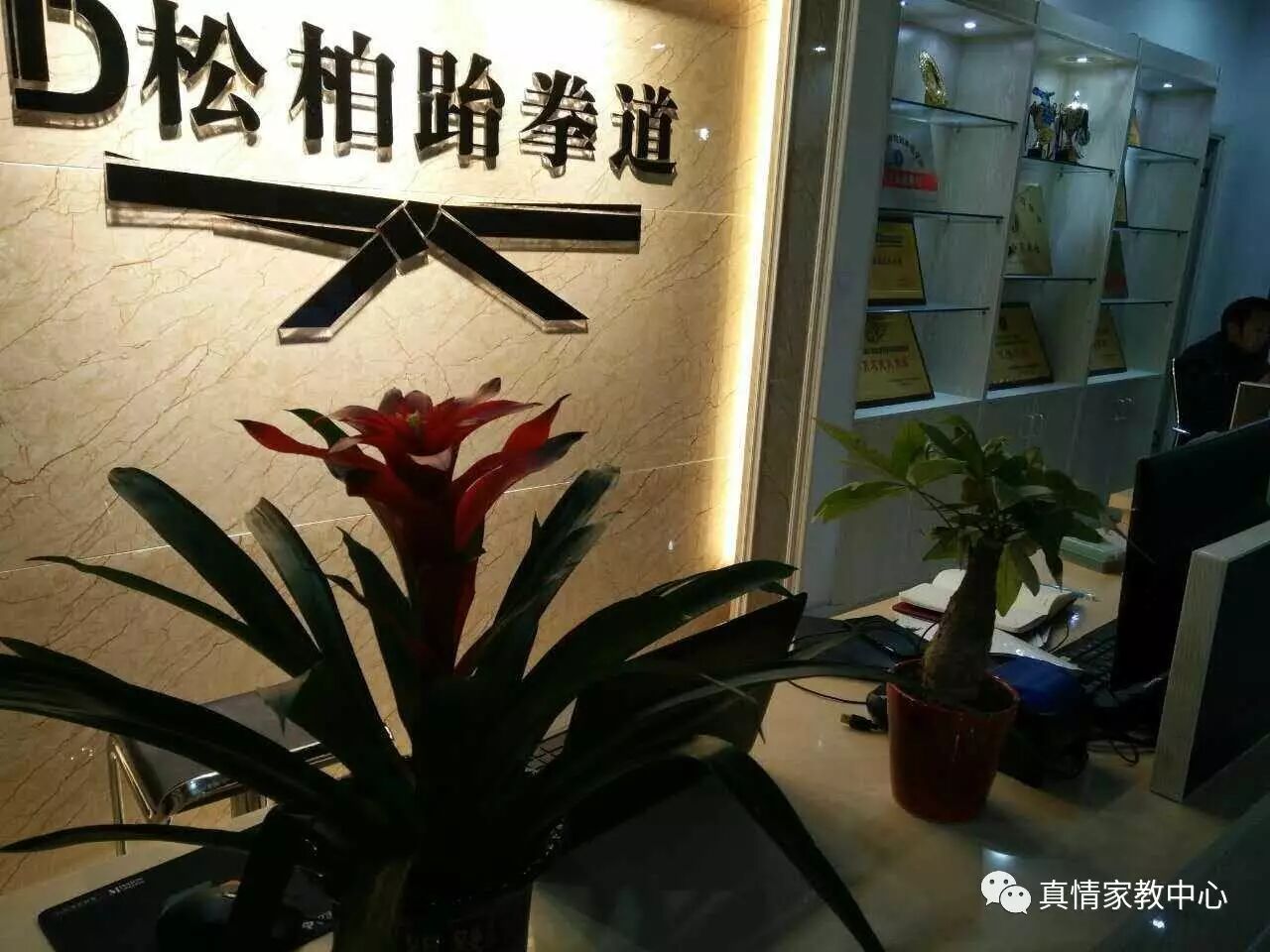 松柏跆拳道和真情家教中心携手举办了大型公益寒假班.