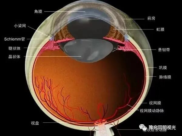 眼底激光机有什么牌子【高端设备】豫宛同明眼科医院引进瑞士美瑞激光治疗仪，进入眼底诊疗新时代_https://www.jmylbn.com_新闻资讯_第6张