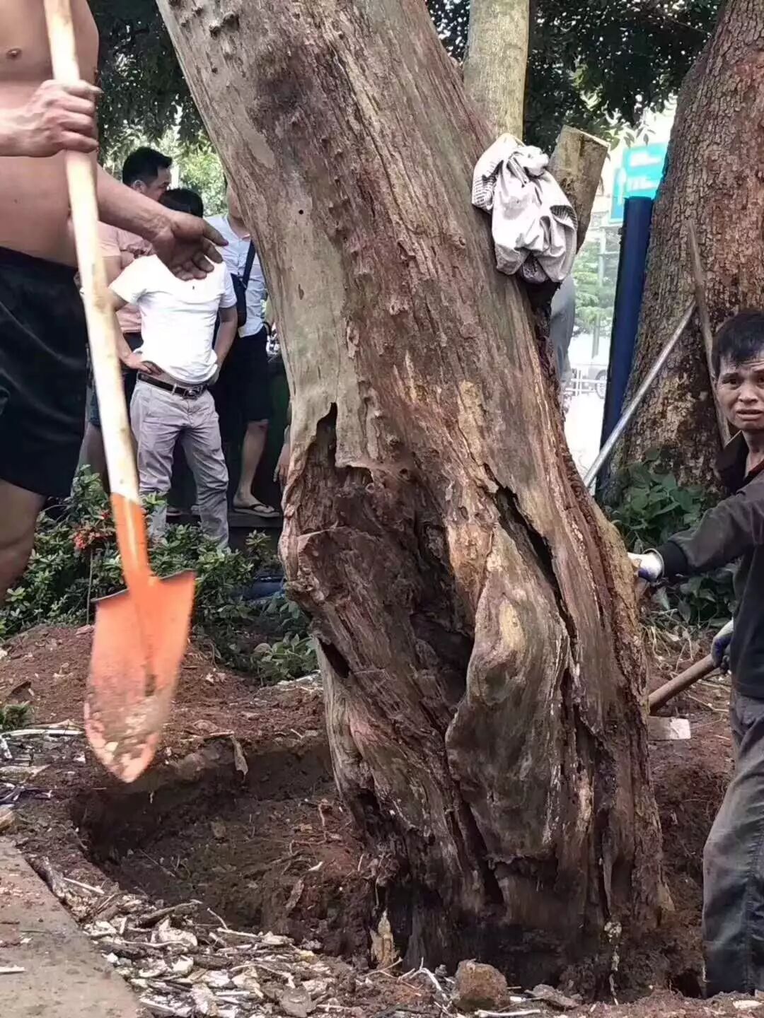 紅木家具圖片