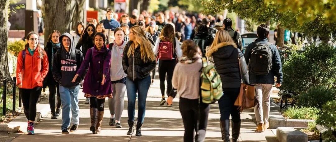 “爸妈，留学的第一个月，我觉得和想象中的不太一样……”