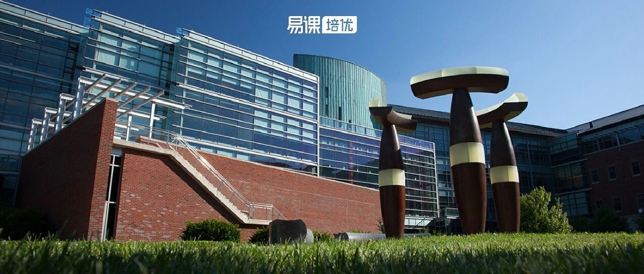 专排媲美康奈尔，在UIUC计算机专业上学是什么体验？