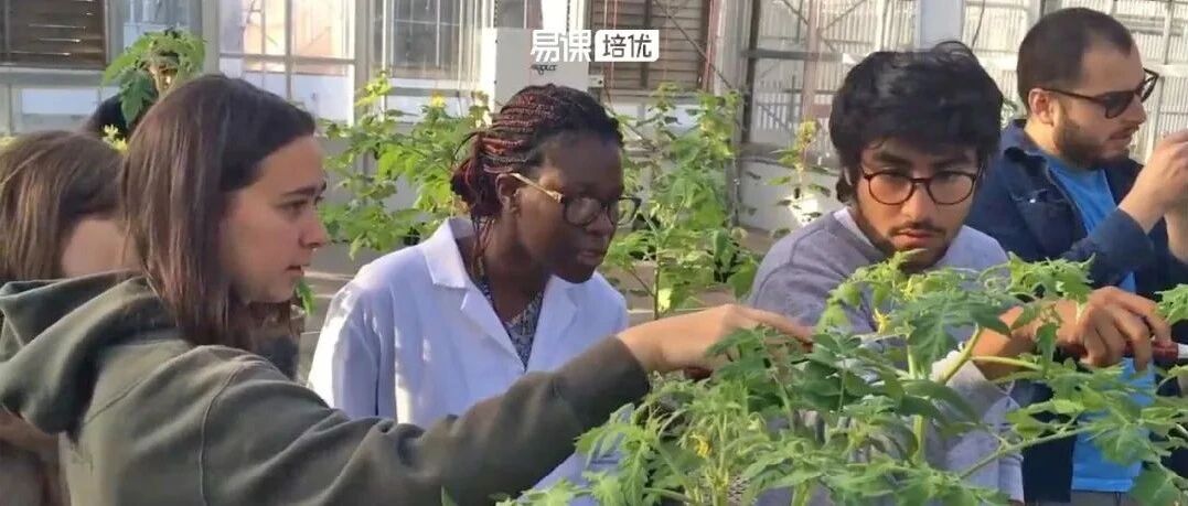 实录 | 盘点留学圈最令人“吐血”的课程，你被哪些课“坑”过？