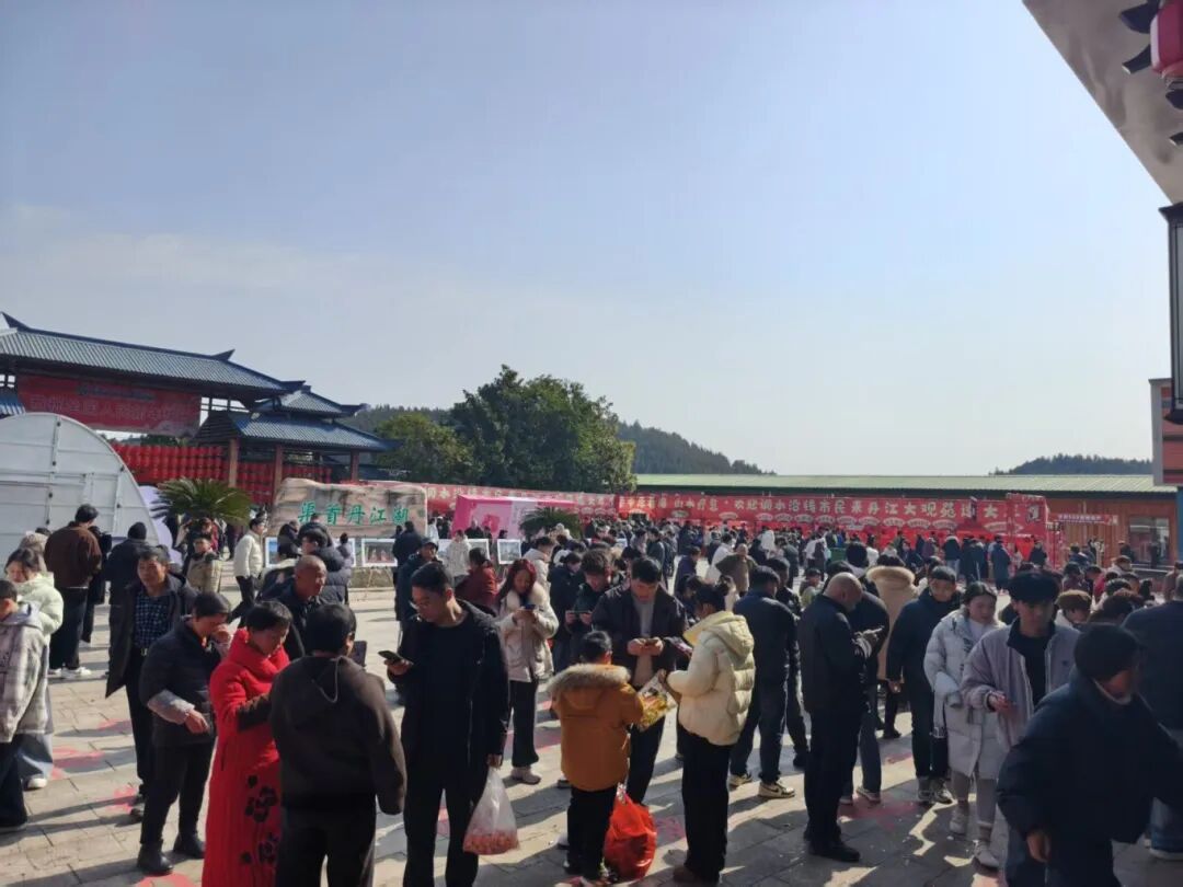 微信图片_20260217144531_180_495.jpg
