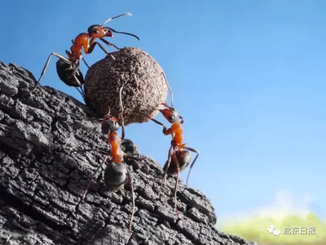 北新镇一印染厂遭"黑手",仨蟊贼"蚂蚁搬家"偷这个玩意