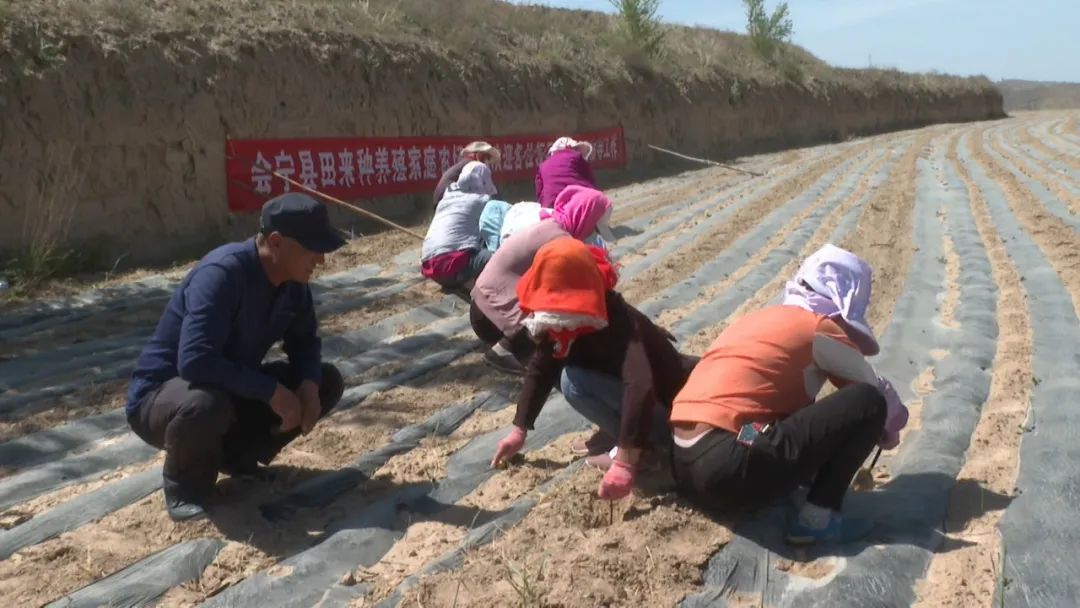 马致富青绿山水画_马致富画家简介图片_致富经马