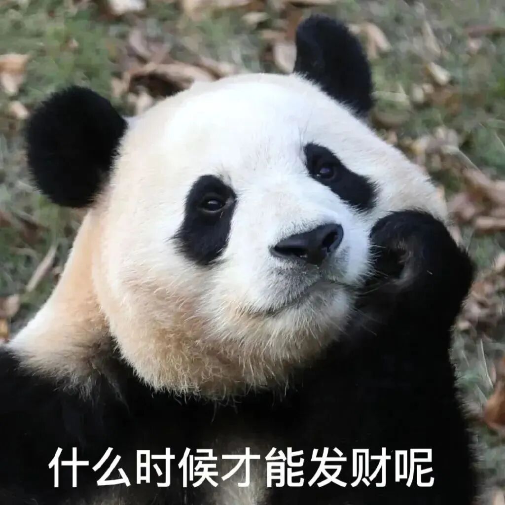 朋友圈搞笑句子,吃饭的时候不建议看