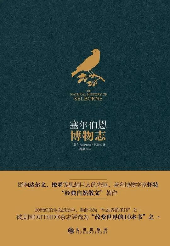 观鸟与拍鸟为何让人如此痴迷？