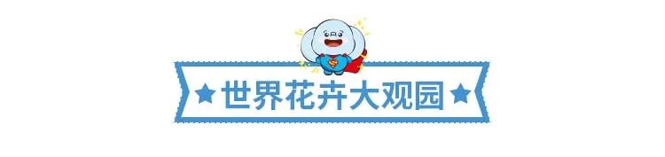 在北京的恭喜了！歡樂谷、世界公園等50+景區一票暢玩！198元還買1送1，趕緊！ 旅遊 第21張