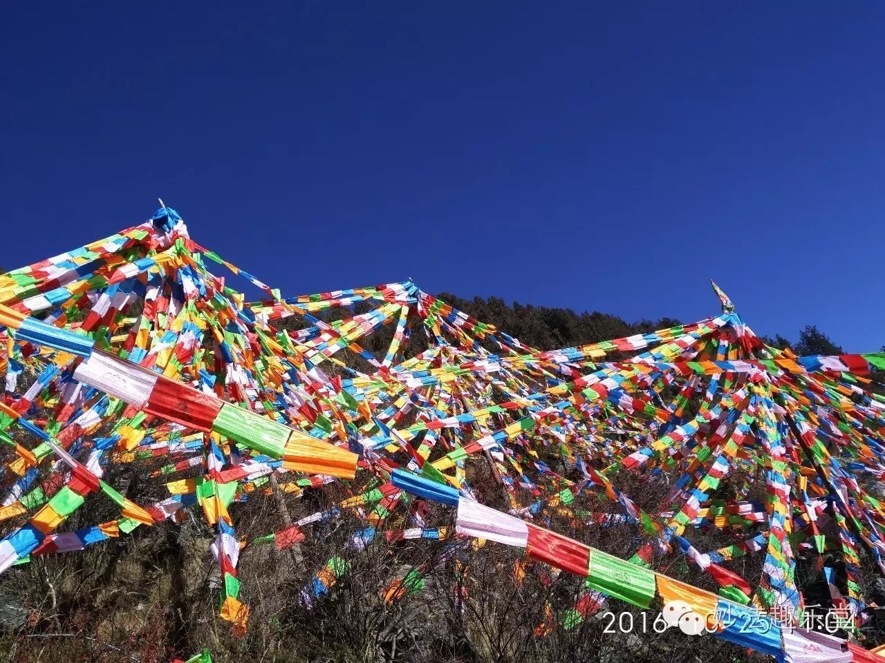 朵尔嘎吉祥法苑寺悬挂四千卷风马旗圆满结束,以下随喜名单记得找我要