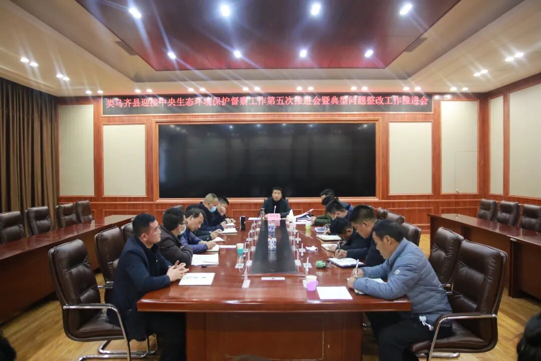 县委常委,政府常务副县长王伟,县委常委,政府副县长次仁顿珠,政府副