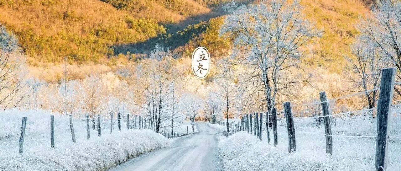 立冬时节，如何在VR中做一个帅气的宅男呢？