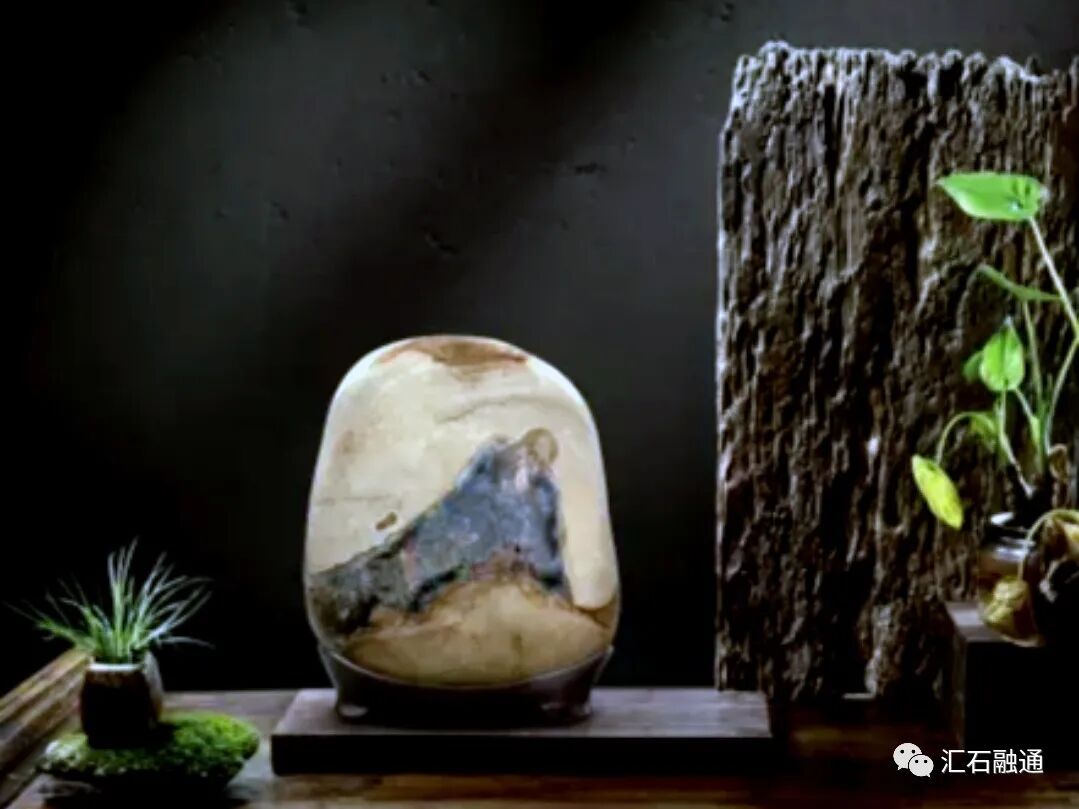 张卫：当代的“先锋派赏石”