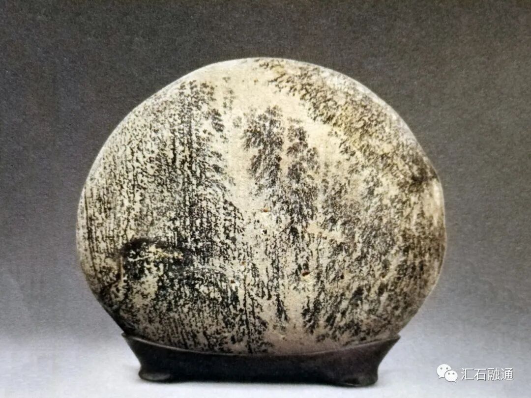 张卫：当代的“先锋派赏石”