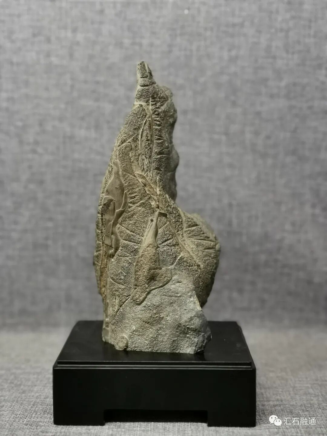 美石抢先看｜2020铜川首届陈炉石艺术博览会明日盛大开展