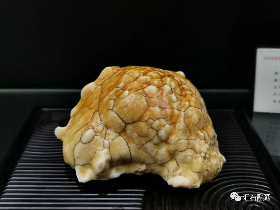 美石抢先看｜2020铜川首届陈炉石艺术博览会明日盛大开展