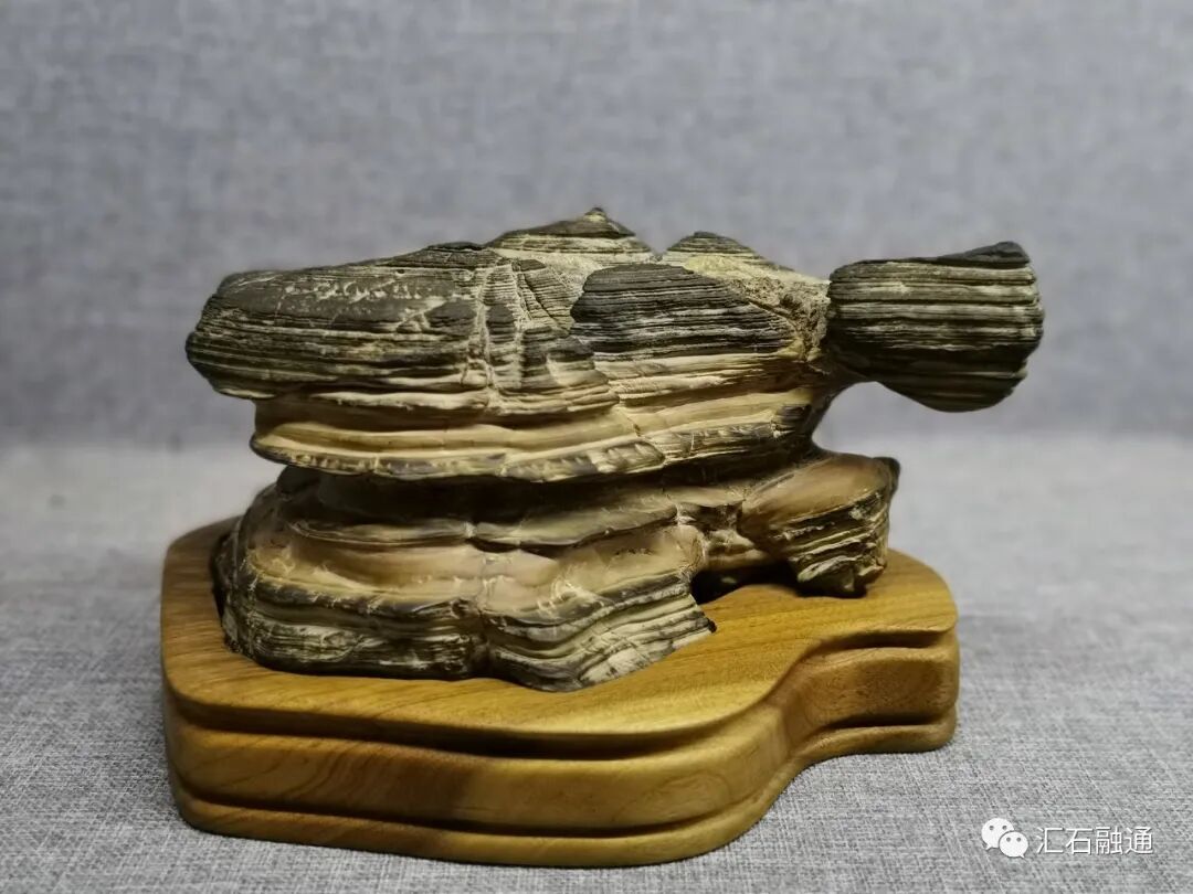 美石抢先看｜2020铜川首届陈炉石艺术博览会明日盛大开展