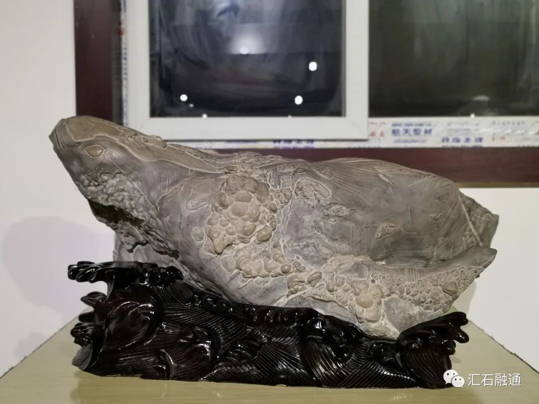 美石抢先看｜2020铜川首届陈炉石艺术博览会明日盛大开展