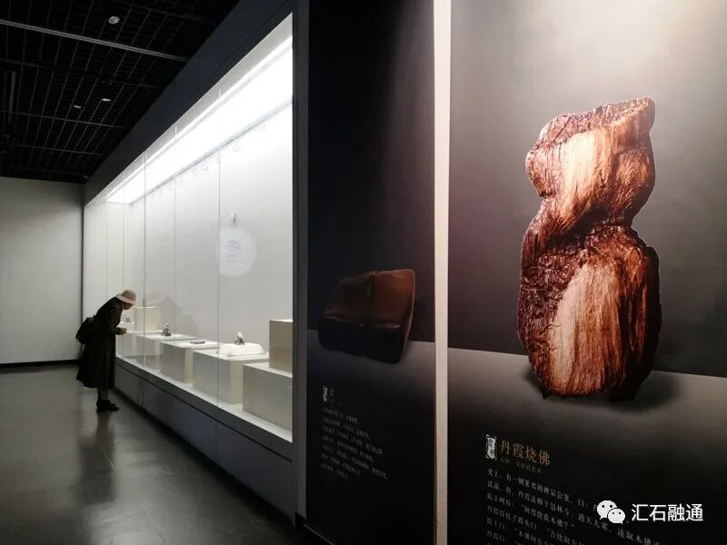 【谈古说今】丽水赏石有新篇