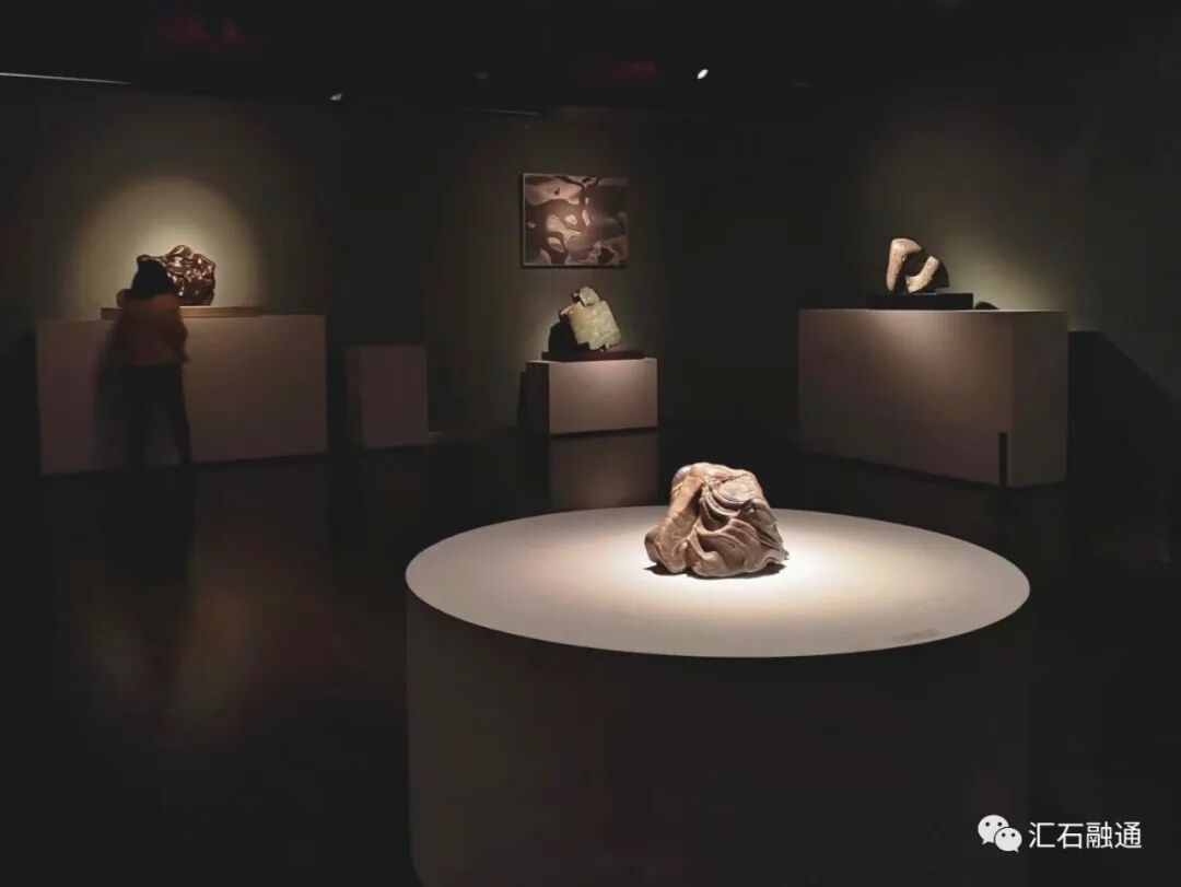 【谈古说今】丽水赏石有新篇