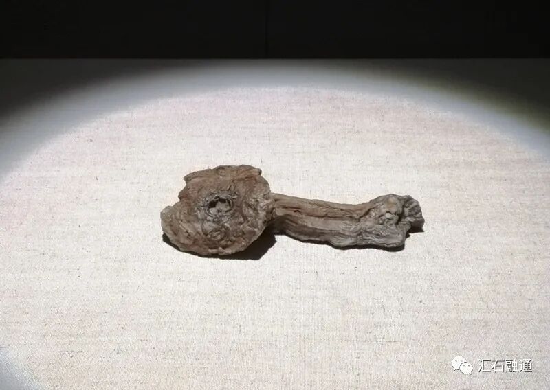 【谈古说今】丽水赏石有新篇