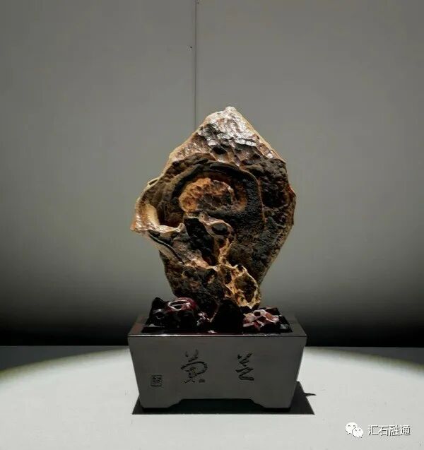 【谈古说今】丽水赏石有新篇