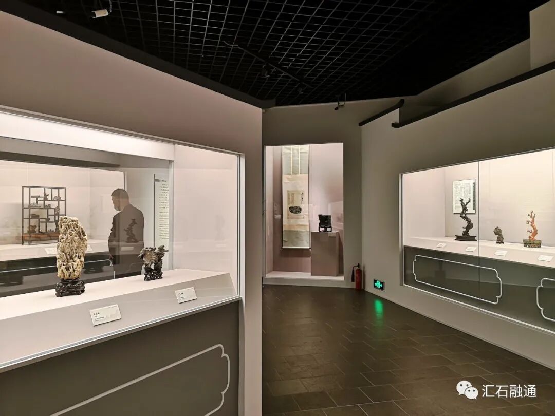 【谈古说今】丽水赏石有新篇