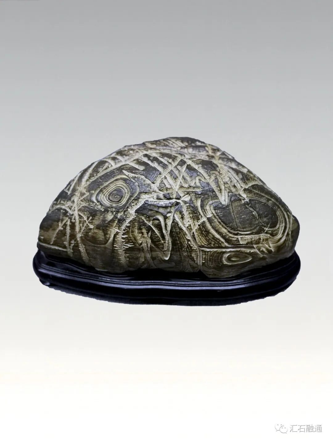 静品陈炉总入诗