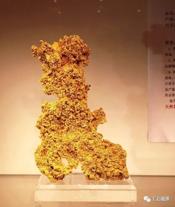 【谈古说今】进博会上赏矿晶