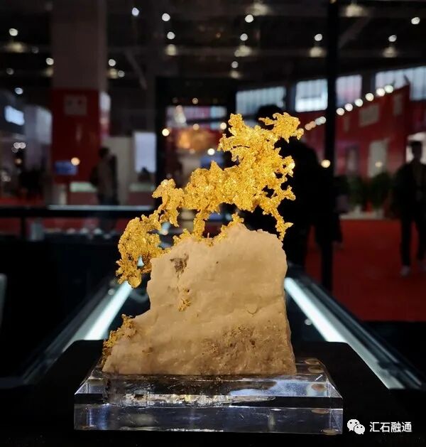 【谈古说今】进博会上赏矿晶