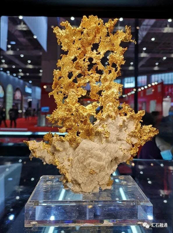 【谈古说今】进博会上赏矿晶