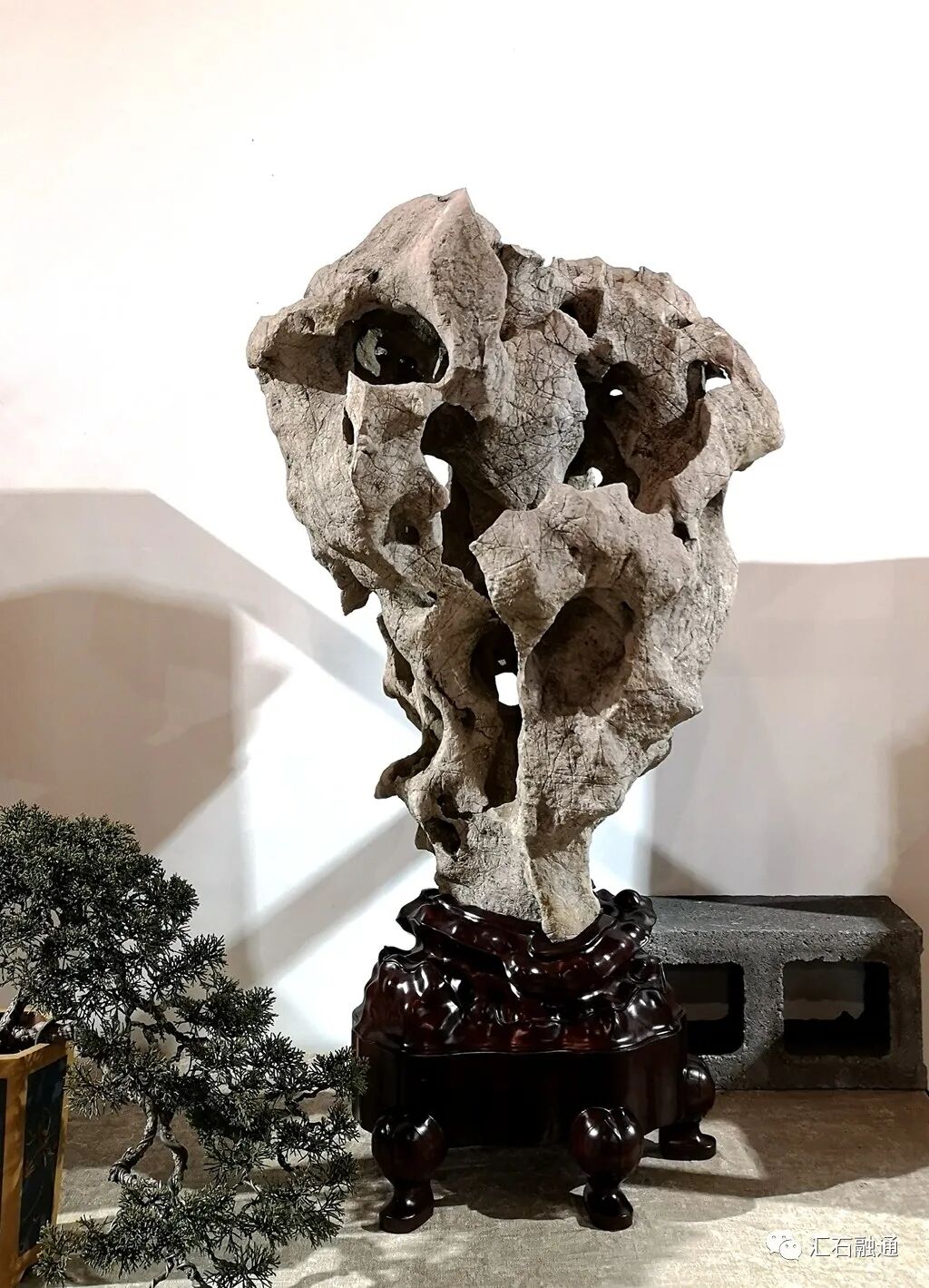 【谈古说今】太湖美在太湖石