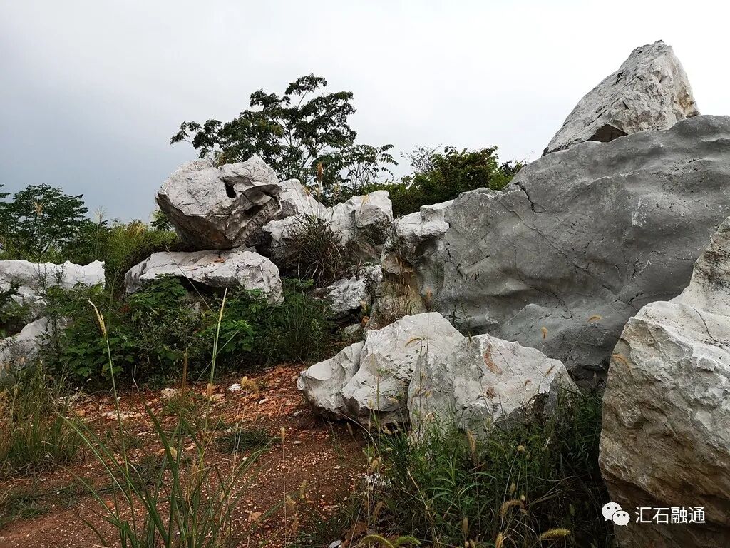 【谈古说今】太湖美在太湖石