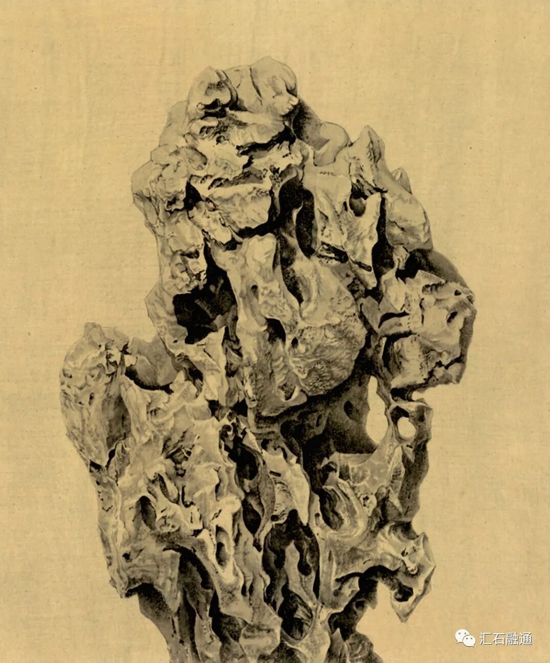 【谈古说今】太湖美在太湖石