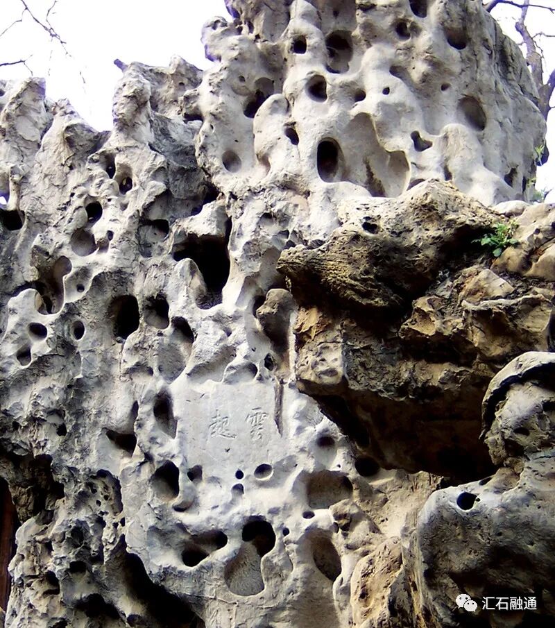 【谈古说今】太湖美在太湖石