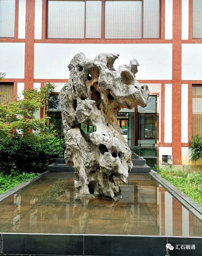 【谈古说今】太湖美在太湖石