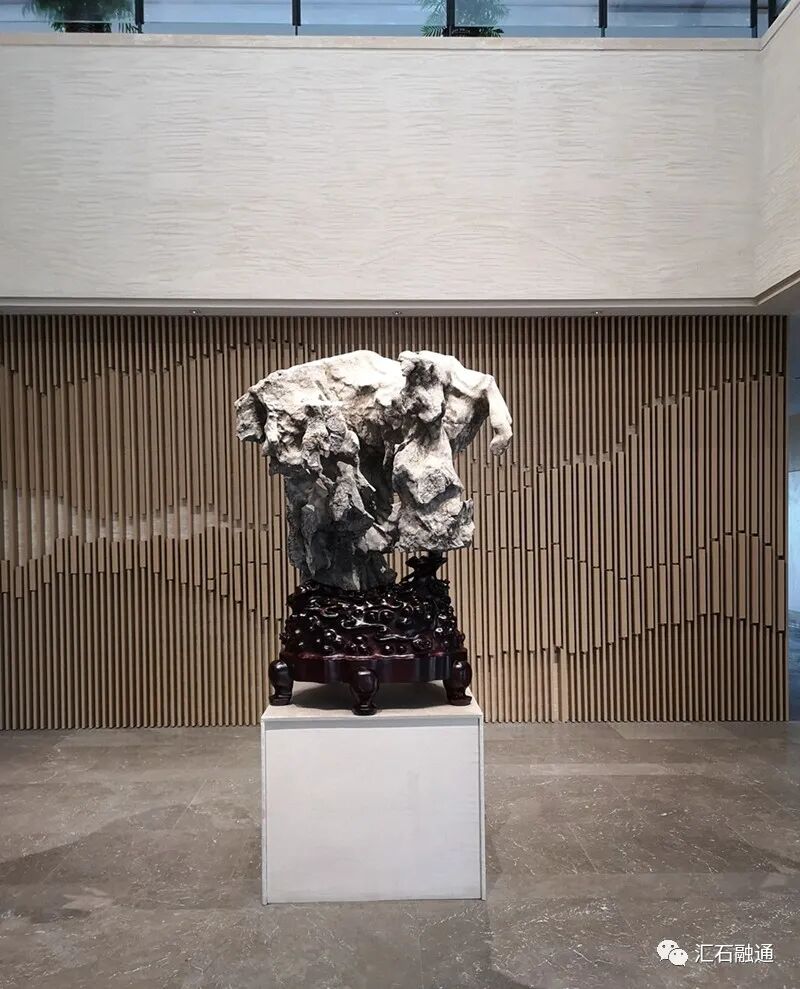 【谈古说今】太湖美在太湖石