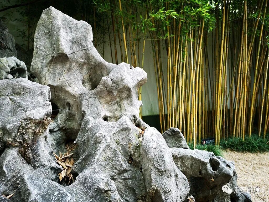 【谈古说今】太湖美在太湖石