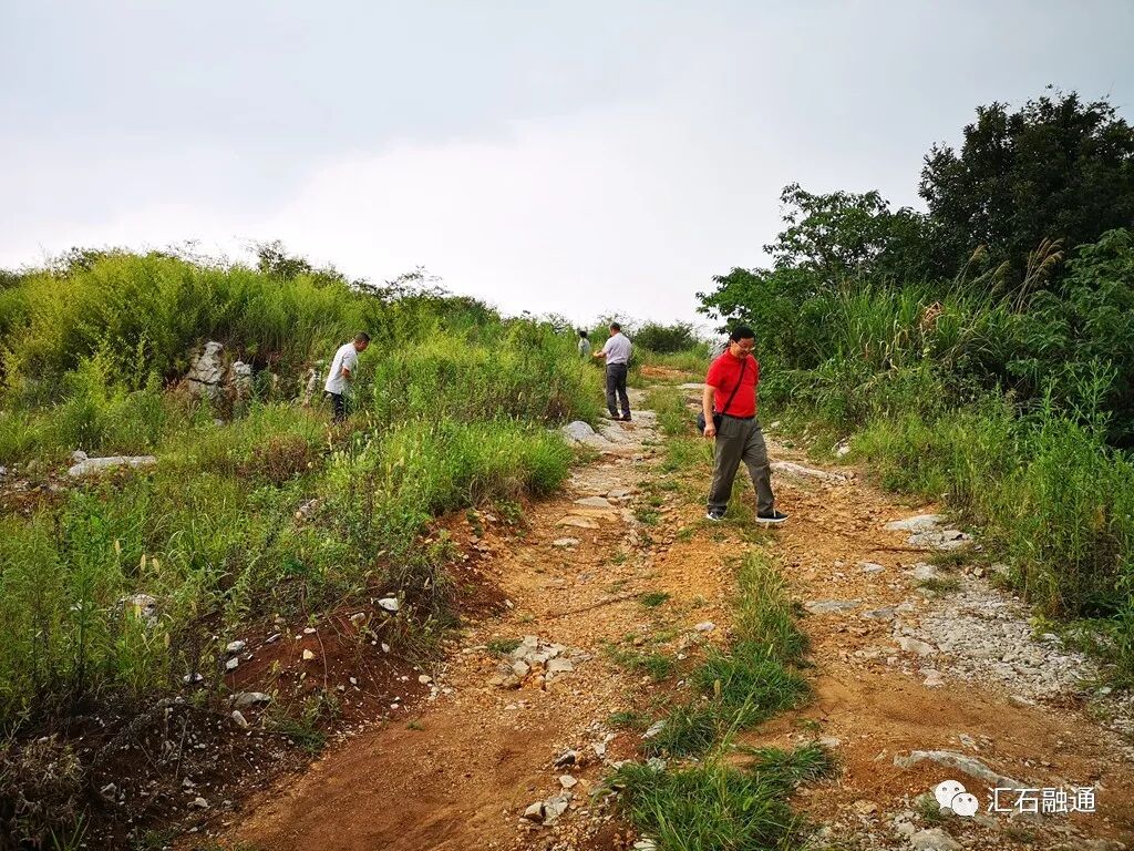 【谈古说今】太湖美在太湖石
