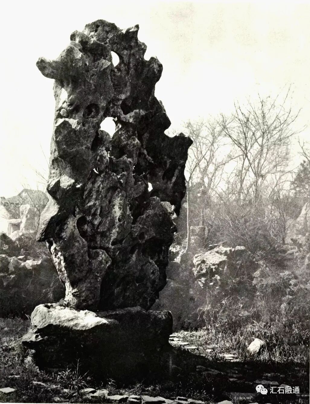 【谈古说今】太湖美在太湖石