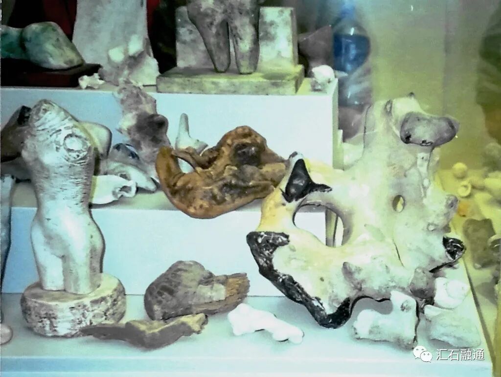 【谈古说今】太湖美在太湖石