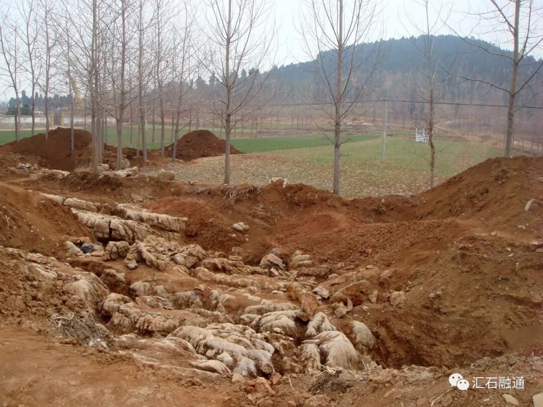 【谈古说今】“十面灵璧”话经典