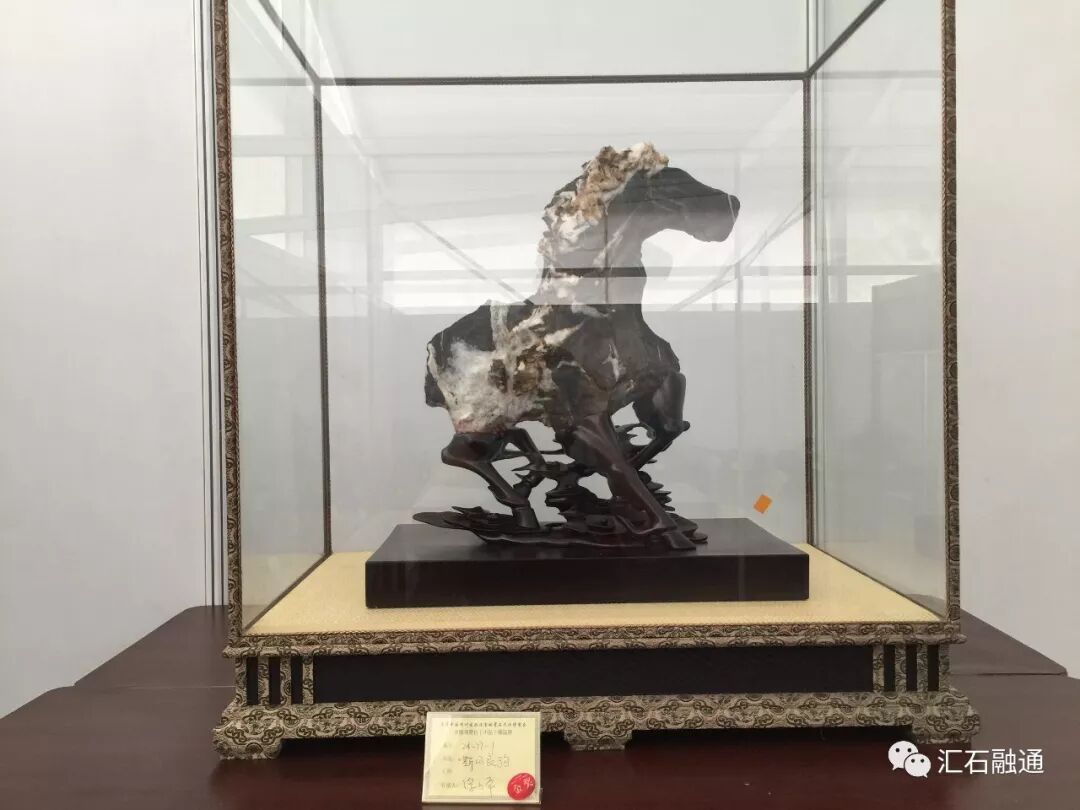 【金奖发布】杭州石展，盛大开幕