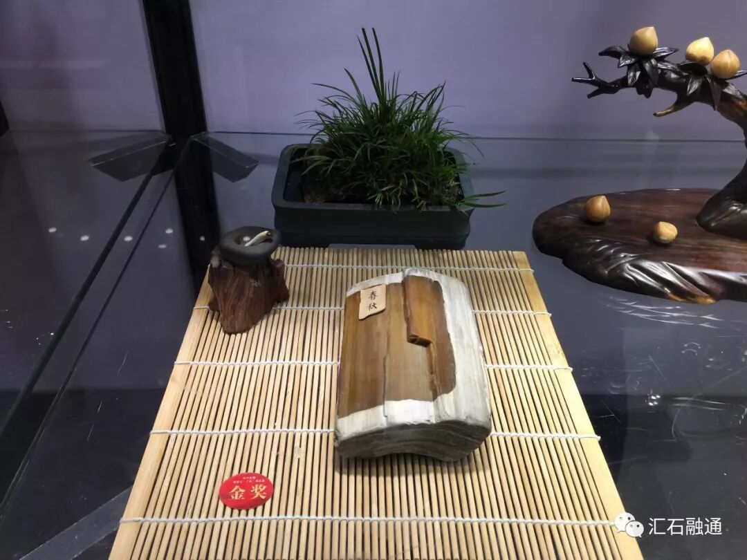 【金奖发布】杭州石展，盛大开幕