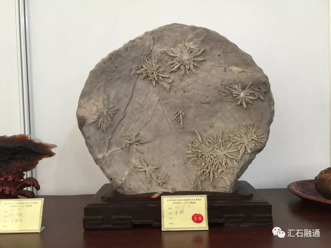 【金奖发布】杭州石展，盛大开幕