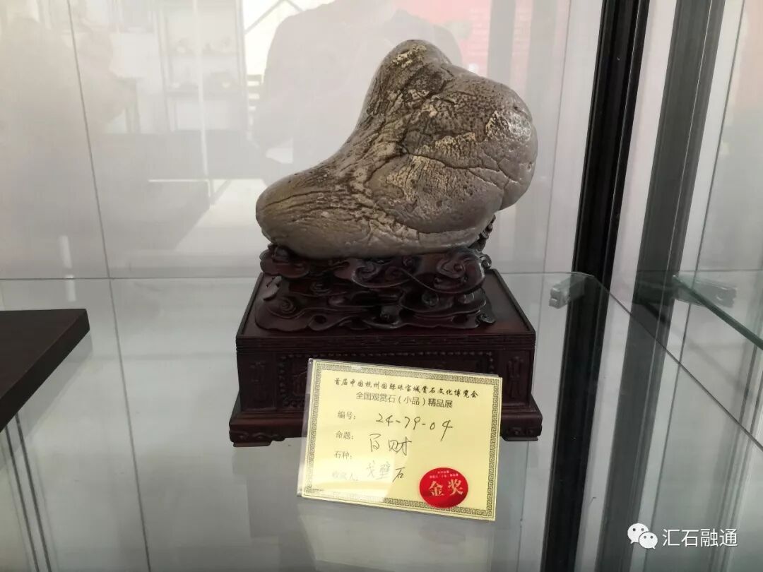 【金奖发布】杭州石展，盛大开幕