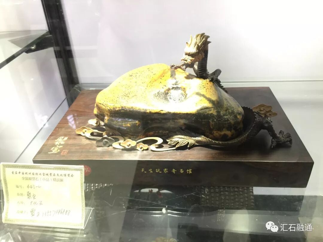 【金奖发布】杭州石展，盛大开幕